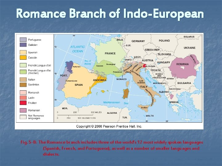 Romance Branch of Indo-European Fig. 5 -8: The Romance branch includes three of the