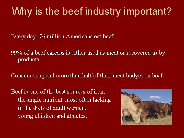 Why is the beef industry important? Every day, 76 million Americans eat beef. 99%