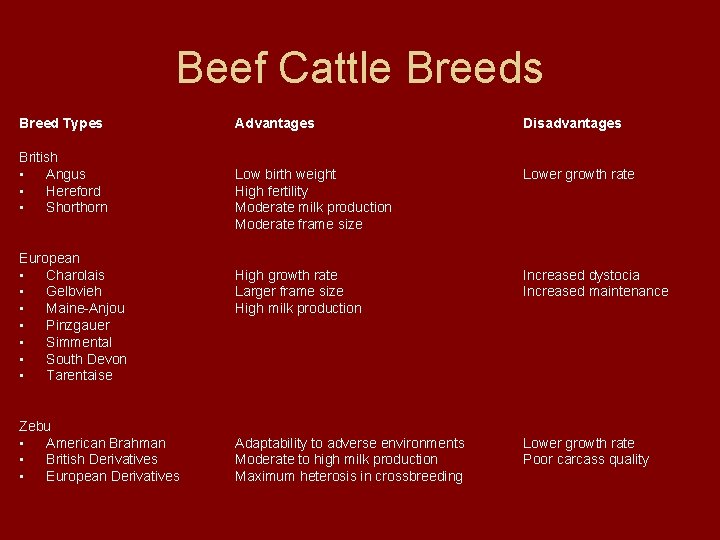 Beef Cattle Breeds Breed Types British • Angus • Hereford • Shorthorn European • Beef Cattle Breeds Breed Types British • Angus • Hereford • Shorthorn European •