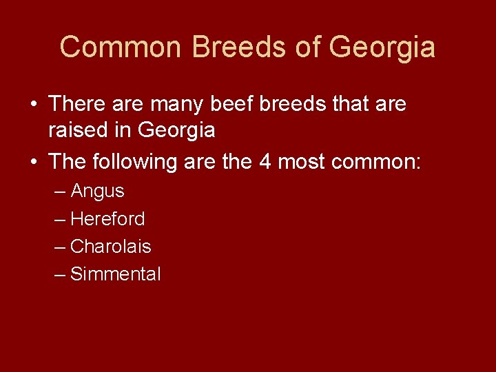 Common Breeds of Georgia • There are many beef breeds that are raised in