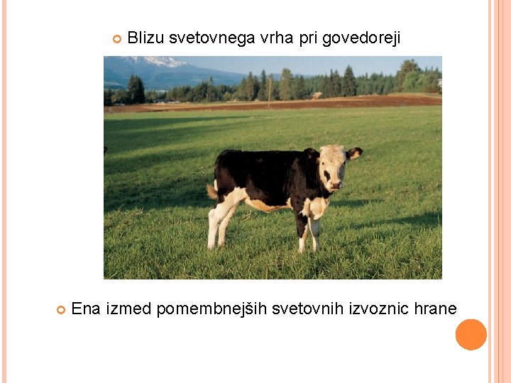  Blizu svetovnega vrha pri govedoreji Ena izmed pomembnejših svetovnih izvoznic hrane 