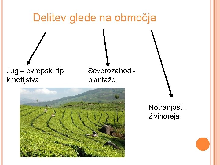 Delitev glede na območja Jug – evropski tip kmetijstva Severozahod plantaže Notranjost živinoreja 