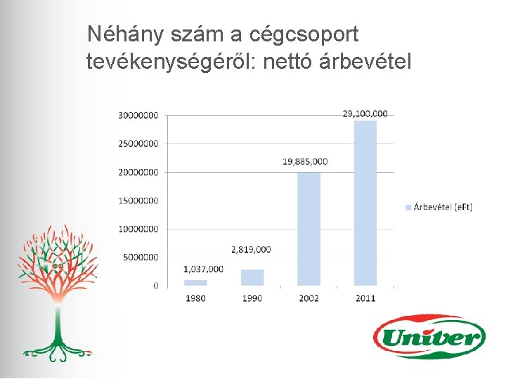 Néhány szám a cégcsoport tevékenységéről: nettó árbevétel 