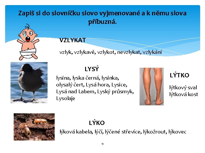 Zapiš si do slovníčku slovo vyjmenované a k němu slova příbuzná. VZLYKAT vzlyk, vzlykavě,