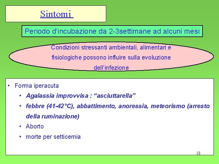 Sintomi Periodo d’incubazione da 2 -3 settimane ad alcuni mesi Condizioni stressanti ambientali, alimentari