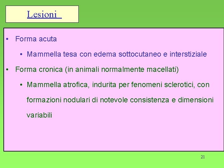 Lesioni • Forma acuta • Mammella tesa con edema sottocutaneo e interstiziale • Forma