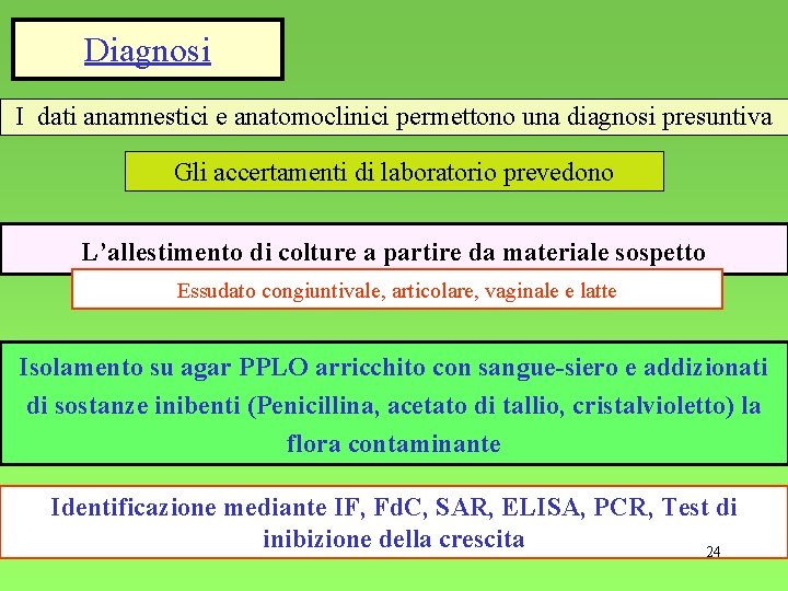 Diagnosi I dati anamnestici e anatomoclinici permettono una diagnosi presuntiva Gli accertamenti di laboratorio