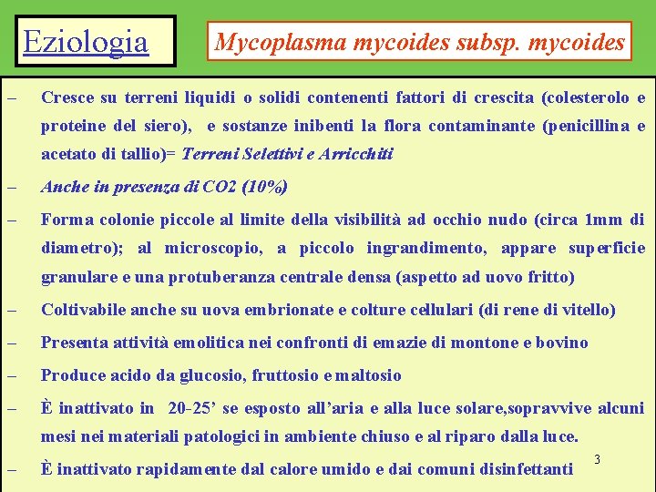 Eziologia – Mycoplasma mycoides subsp. mycoides Cresce su terreni liquidi o solidi contenenti fattori