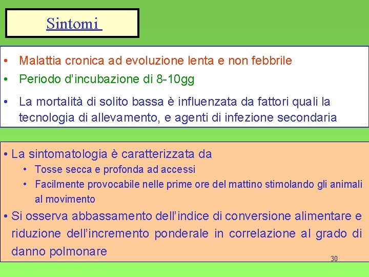 Sintomi • Malattia cronica ad evoluzione lenta e non febbrile • Periodo d’incubazione di