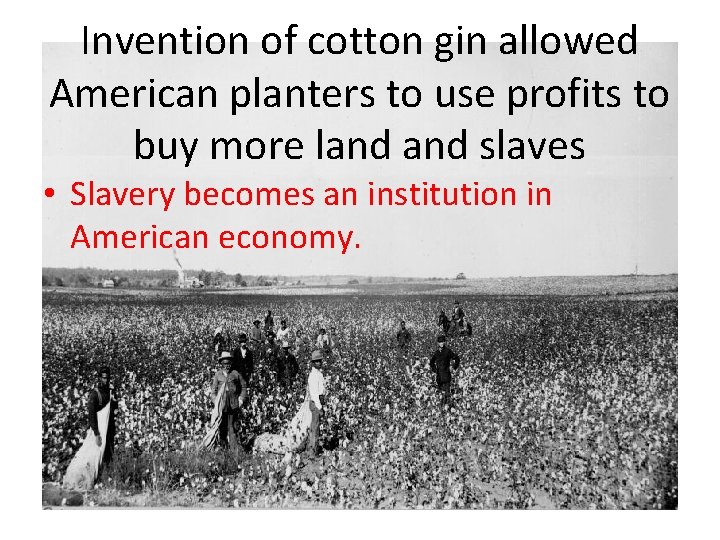 Invention of cotton gin allowed American planters to use profits to buy more land