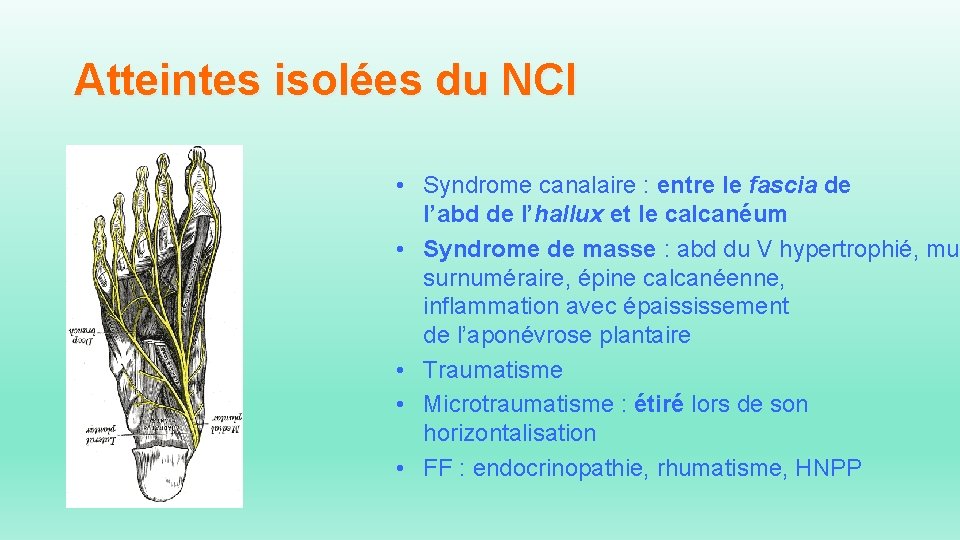 Atteintes isolées du NCI • Syndrome canalaire : entre le fascia de l’abd de