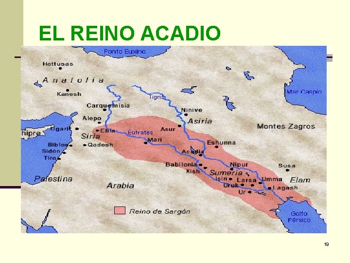 EL REINO ACADIO 19 