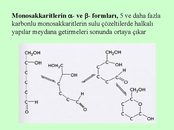 Monosakkaritlerin - ve - formları, 5 ve daha fazla karbonlu monosakkaritlerin sulu çözeltilerde halkalı