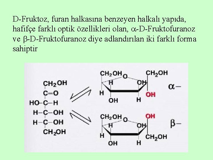 D-Fruktoz, furan halkasına benzeyen halkalı yapıda, hafifçe farklı optik özellikleri olan, -D-Fruktofuranoz ve -D-Fruktofuranoz