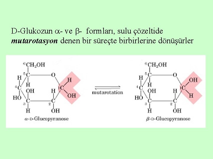 D-Glukozun - ve - formları, sulu çözeltide mutarotasyon denen bir süreçte birbirlerine dönüşürler 