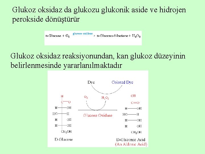 Glukoz oksidaz da glukozu glukonik aside ve hidrojen perokside dönüştürür Glukoz oksidaz reaksiyonundan, kan