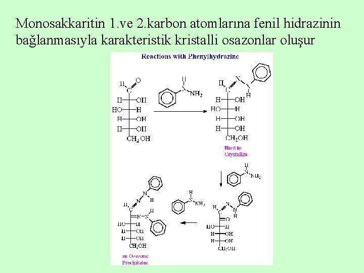 Monosakkaritin 1. ve 2. karbon atomlarına fenil hidrazinin bağlanmasıyla karakteristik kristalli osazonlar oluşur 