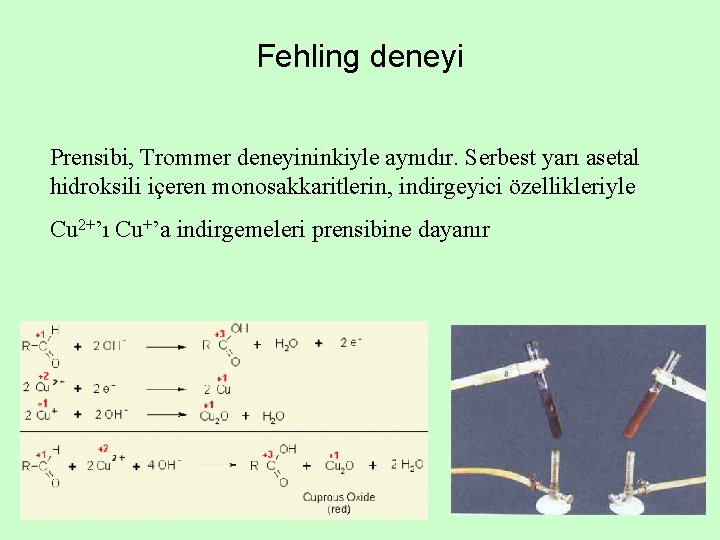 Fehling deneyi Prensibi, Trommer deneyininkiyle aynıdır. Serbest yarı asetal hidroksili içeren monosakkaritlerin, indirgeyici özellikleriyle