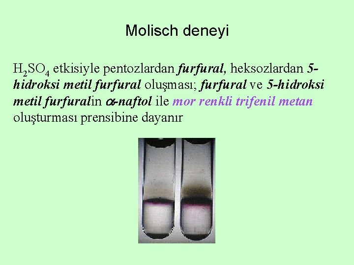 Molisch deneyi H 2 SO 4 etkisiyle pentozlardan furfural, heksozlardan 5 hidroksi metil furfural