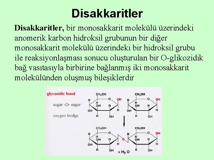 Disakkaritler, bir monosakkarit molekülü üzerindeki anomerik karbon hidroksil grubunun bir diğer monosakkarit molekülü üzerindeki