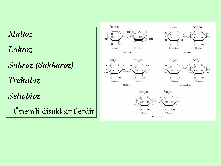 Maltoz Laktoz Sukroz (Sakkaroz) Trehaloz Sellobioz Önemli disakkaritlerdir 