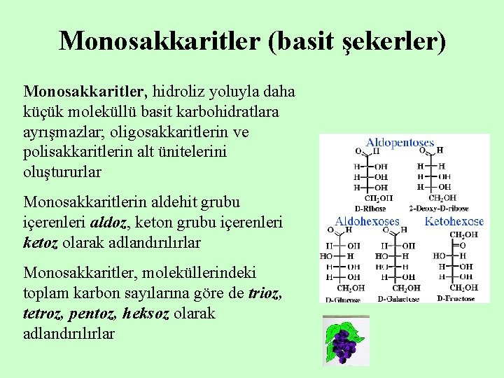 Monosakkaritler (basit şekerler) Monosakkaritler, hidroliz yoluyla daha küçük moleküllü basit karbohidratlara ayrışmazlar; oligosakkaritlerin ve