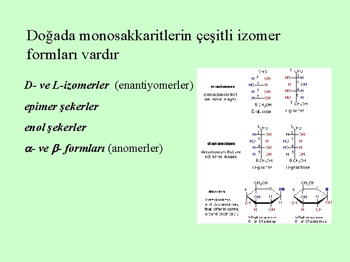 Doğada monosakkaritlerin çeşitli izomer formları vardır D- ve L-izomerler (enantiyomerler) epimer şekerler enol şekerler