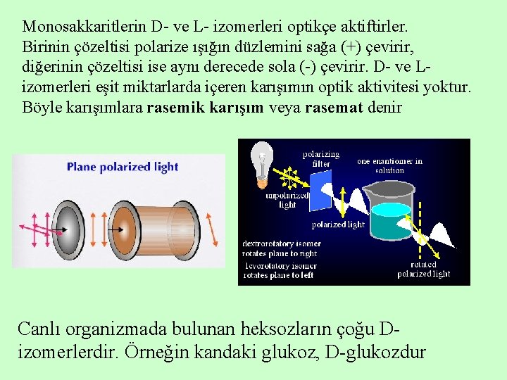 Monosakkaritlerin D- ve L- izomerleri optikçe aktiftirler. Birinin çözeltisi polarize ışığın düzlemini sağa (+)