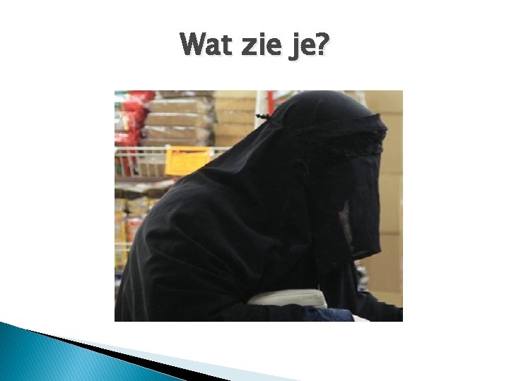 Wat zie je? 