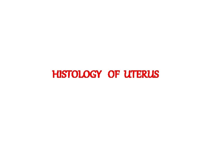 HISTOLOGY OF UTERUS 