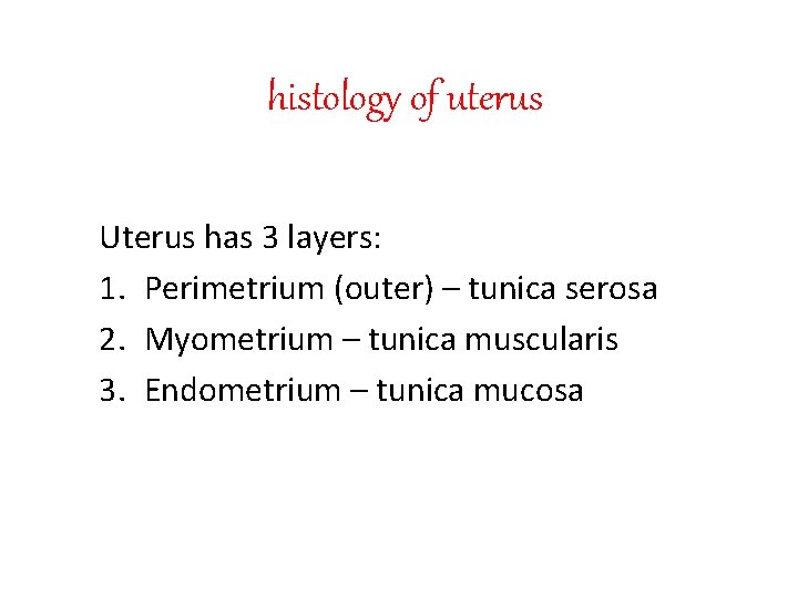 histology of uterus Uterus has 3 layers: 1. Perimetrium (outer) – tunica serosa 2.