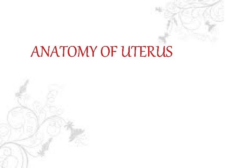 ANATOMY OF UTERUS 