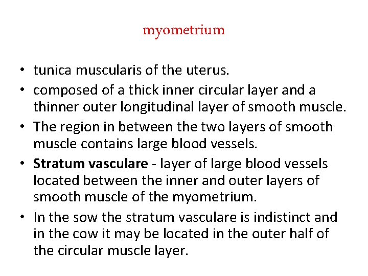 myometrium • tunica muscularis of the uterus. • composed of a thick inner circular