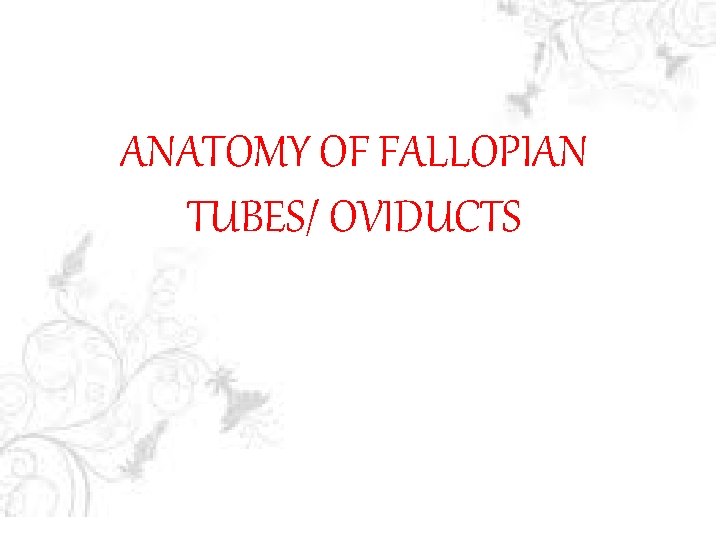 ANATOMY OF FALLOPIAN TUBES/ OVIDUCTS 