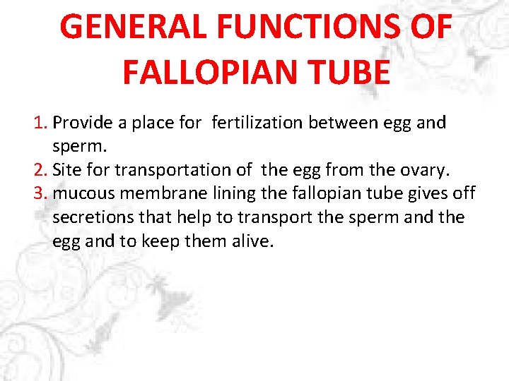 GENERAL FUNCTIONS OF WHAT IS UTERUS? FALLOPIAN TUBE 1. Provide a place for fertilization