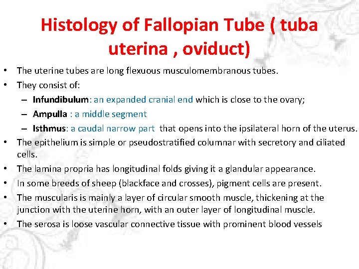 Histology of Fallopian Tube ( tuba uterina , oviduct) • The uterine tubes are