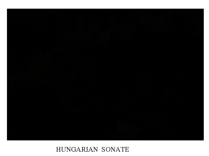 HUNGARIAN SONATE 