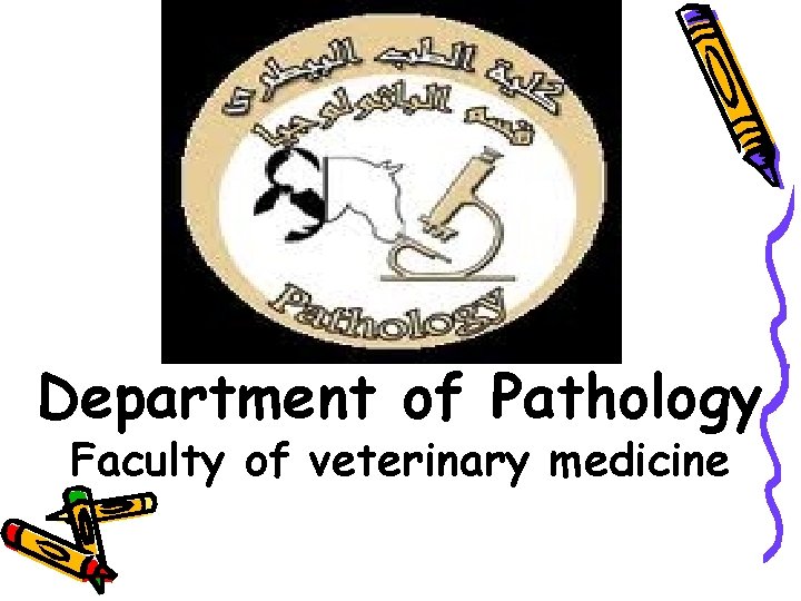Department of Pathology Faculty of veterinary medicine 