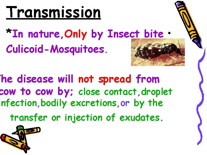 Transmission *In nature, Only by Insect bite • Culicoid-Mosquitoes. The disease will not spread