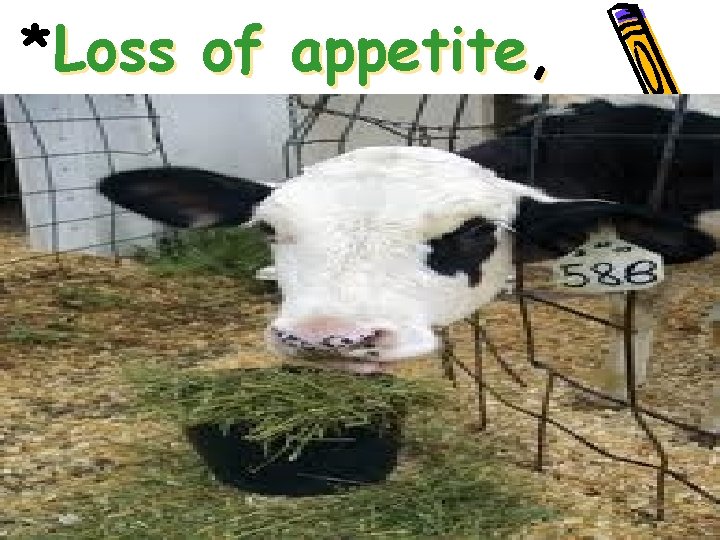*Loss of appetite, • • • 