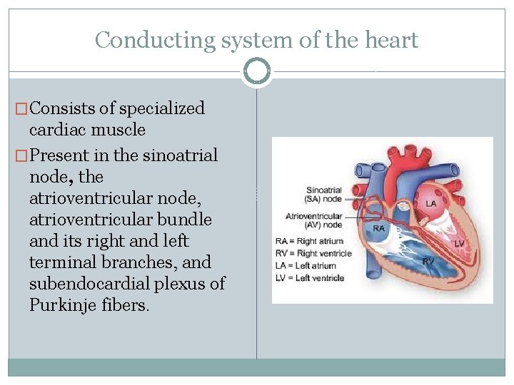 LECTURE 39 DR REHAN By the end of