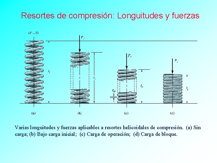 Resortes de compresión: Longuitudes y fuerzas Varias longuitudes y fuerzas aplicables a resortes helicoidales