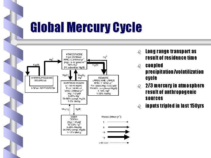 Global Mercury Cycle b b Long range transport as result of residence time coupled