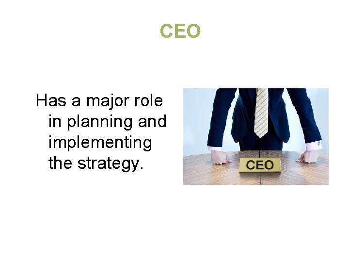CEO Has a major role in planning and implementing the strategy. 