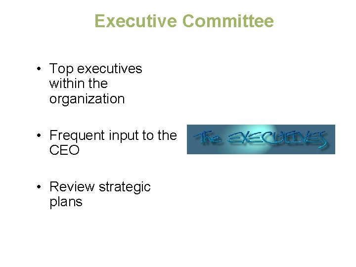 Executive Committee • Top executives within the organization • Frequent input to the CEO