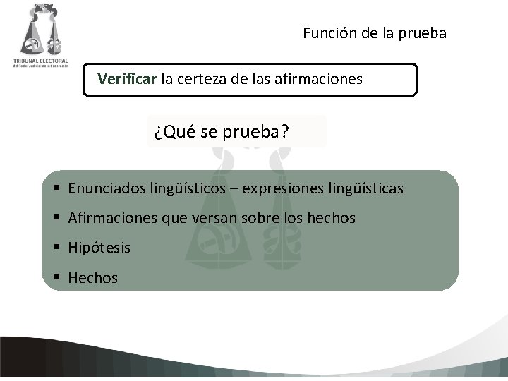 Función de la prueba Verificar la certeza de las afirmaciones ¿Qué se prueba? Haga