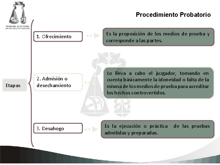 Procedimiento Probatorio 1. Ofrecimiento Es la proposición de los medios de prueba y corresponde