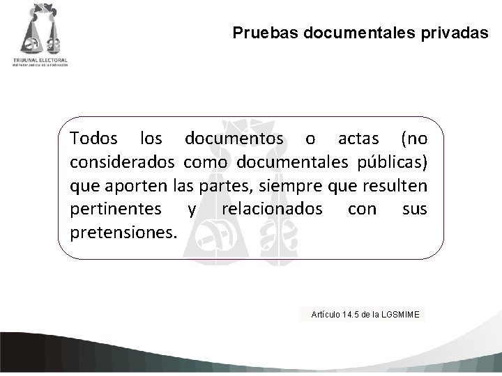 Pruebas documentales privadas Todos los documentos o actas (no considerados comoagregar documentales públicas) Haga