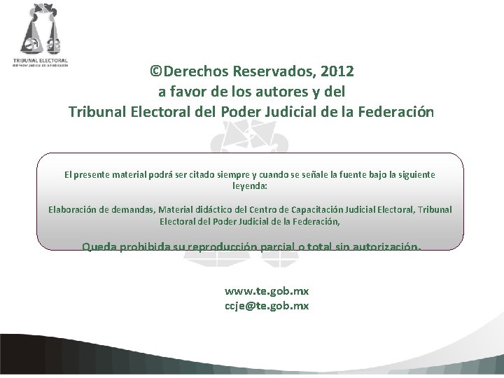 ©Derechos Reservados, 2012 a favor de los autores y del Tribunal Electoral del Poder
