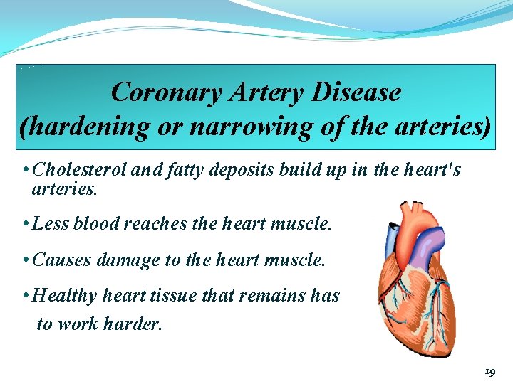 Coronary Artery Disease (hardening or narrowing of the arteries) • Cholesterol and fatty deposits